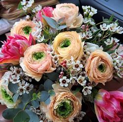 FIORI PIZZI E DECORI di Pina La Torre, San Severo orari di apertura