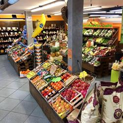 Ortofrutta Bulgarograsso Frosoni, orari di apertura