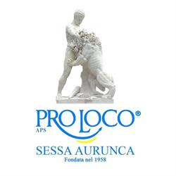 Pro Loco Sessa Aurunca, orari di apertura