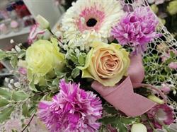 Nicoletta Fiori, Acqui Terme orari di apertura