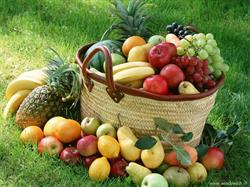 L'Oasi Della Frutta di Corvi Daniela, Roma orari di apertura