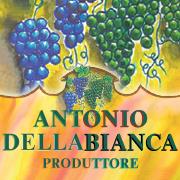 Antonio Dellabianca Azienda Agricola, Pietra de' Giorgi orari di apertura