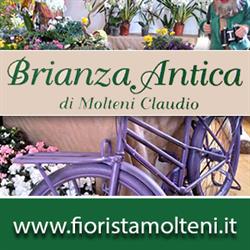 brianza antica, Mariano Comense orari di apertura