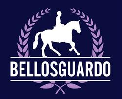 Centro Ippico Bellosguardo, Lastra a Signa orari di apertura