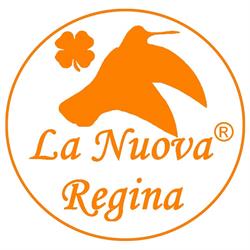 Sag Nature s.r.l, Napoli orari di apertura