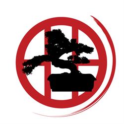 ASD Samurai 2000, Montalto di Castro orari di apertura