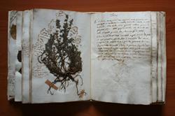MUSEO Perrando, Sassello orari di apertura