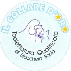 Il collare d'oro di Stocchero Sonia, Trissino orari di apertura