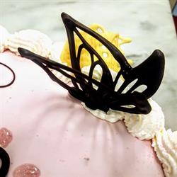 L'officina Del Gelato, Carpi orari di apertura