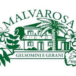 Malvarosa, Carruba orari di apertura