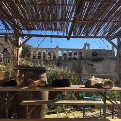 Agriturismo Stallaini, Noto orari di apertura