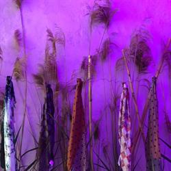 Antitesi fashion wear, Morbegno orari di apertura
