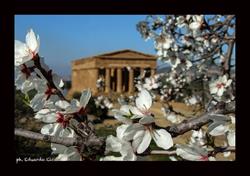 B&B Liolà, Agrigento orari di apertura