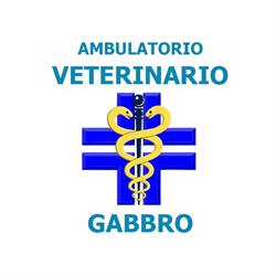 Ambulatorio Veterinario Gabbro, orari di apertura