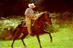 ASD Augusta Horse Riding, orari di apertura