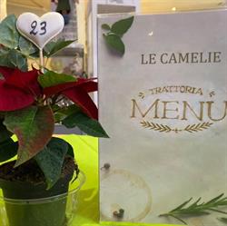 Ristorante Pizzeria Le Camelie, Quartu Sant'Elena orari di apertura