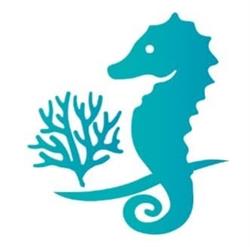 Flora e Fauna "Nature Aquarium Design", Salerno orari di apertura