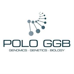 Polo GGB (Polo d'Innovazione di Genomica, Genetica e Biologia), Siena orari di apertura