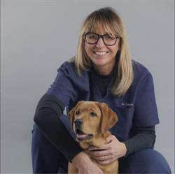 Clinica Veterinaria Cusago, orari di apertura