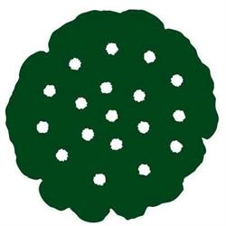 Nelumbo Open, Bologna orari di apertura
