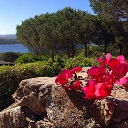 Marina di Conca Verde, Santa Teresa Gallura orari di apertura