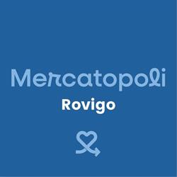 Mercatopoli Rovigo, orari di apertura