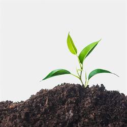 Agrigarden, Licata orari di apertura