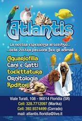 Atlantis, Floridia orari di apertura