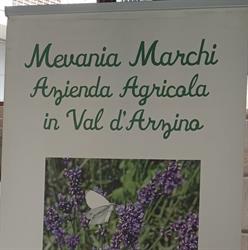 Azienda Agricola Mevania Marchi, Vito d'Asio orari di apertura