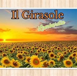 Allevamento Il Girasole, Magenta orari di apertura
