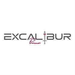 Excalibur Promo SRL, Castiglione delle Stiviere orari di apertura