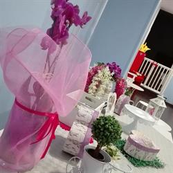 Fantajoy Eventi, Palermo orari di apertura