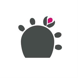 Comunica - creative company, Manfredonia orari di apertura