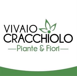 Vivaio Cracchiolo Piante & Fiori, Alcamo orari di apertura