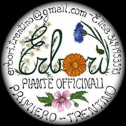 Erborì Piante Officinali Primiero Primiero San Martino di Castrozza, Tonadico - Orari di apertura