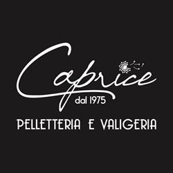 Caprice Pelletteria 1975, Mesagne orari di apertura