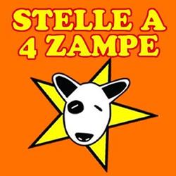 Stelle A 4 Zampe Page, Grosseto orari di apertura