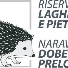 Centro visite Gradina - Riserva Naturale dei Laghi di Doberdò e Pietrarossa, Doberdò del Lago orari di apertura