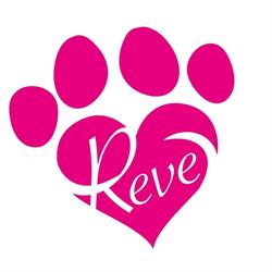 Reve Srl - Legatoria, Seriate orari di apertura