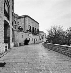 Venezia 40, Bari orari di apertura
