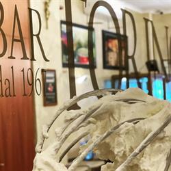 Bar Torino Messina, orari di apertura