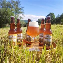 Birrificio Agricolo La Campana d'Oro, Bibbiena orari di apertura