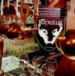 Cotton Pub Copertino, orari di apertura