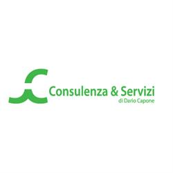 Consulenza e Servizi Dario Capone, Casoria orari di apertura