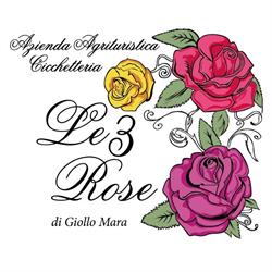 Agriturismo Le 3 Rose, Cinto Caomaggiore orari di apertura