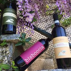 Az Agricola Cascina Boccia, Tagliolo Monferrato orari di apertura