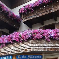 Da Alberto prodotti tipici, Livigno orari di apertura