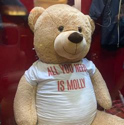 Molly&co, Terni orari di apertura