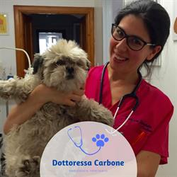Ambulatorio Veterinario Dott.ssa Elisabetta Carbone, Bitonto orari di apertura