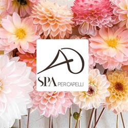 Andie SPA per Capelli, Bergamo orari di apertura